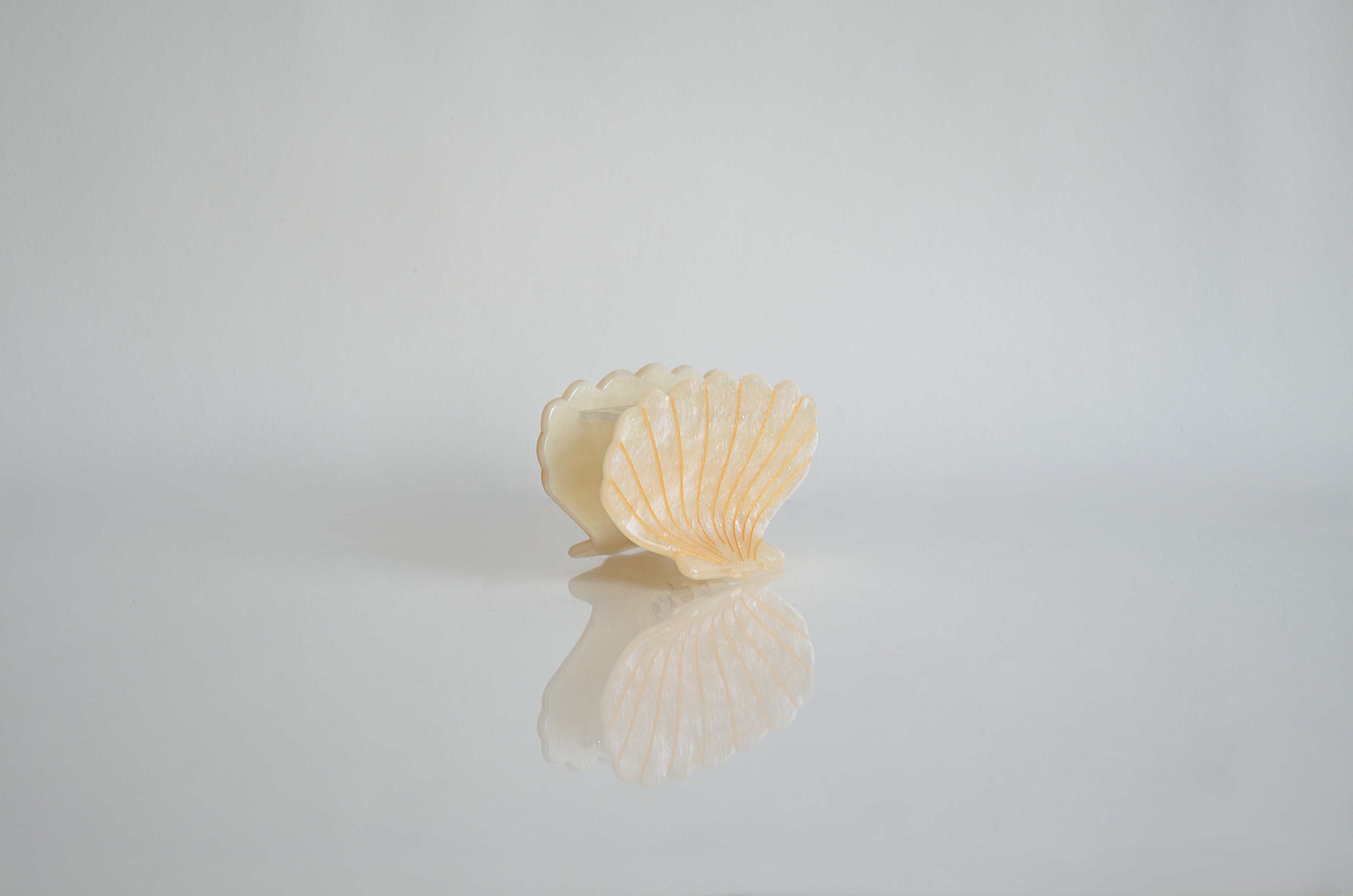 White Shell