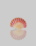 CARRIBIEN DAWN RED